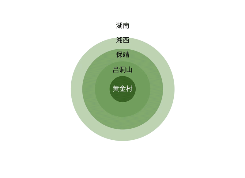 每一片茶叶都能反映出保靖黄金茶的最高标准和纯正血统