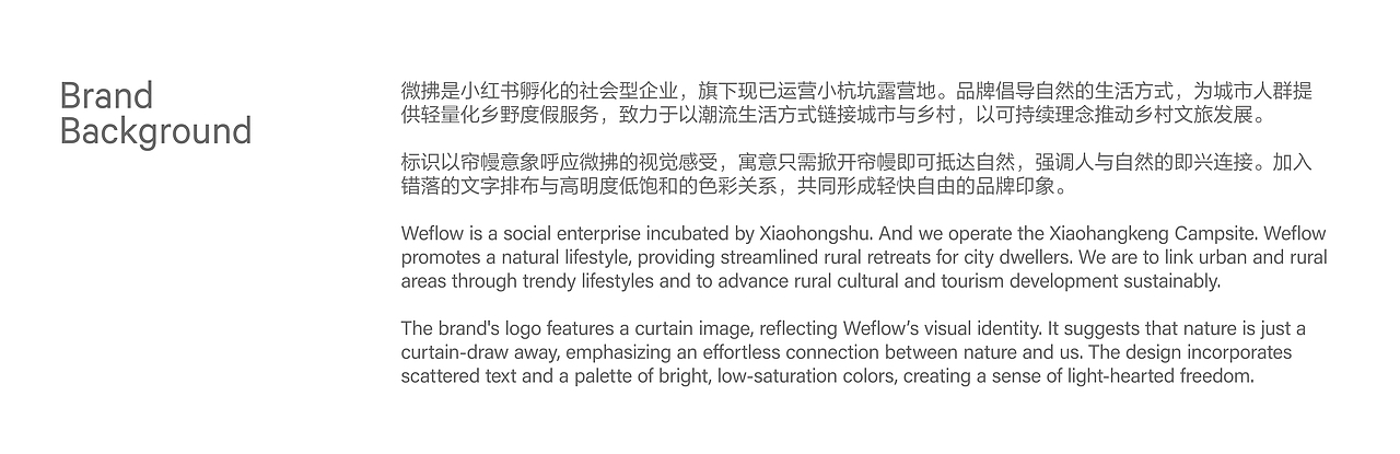 Weflow Visual Identity