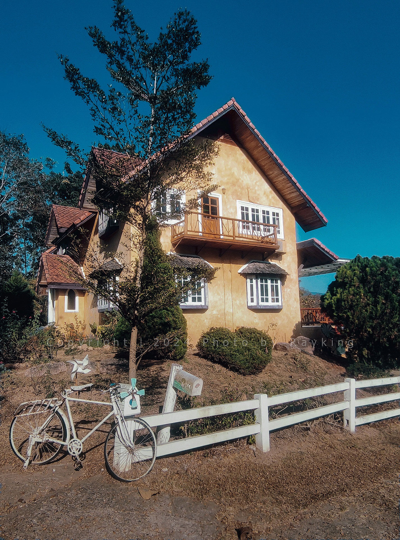 爱在拜城|梦中的原野稻香