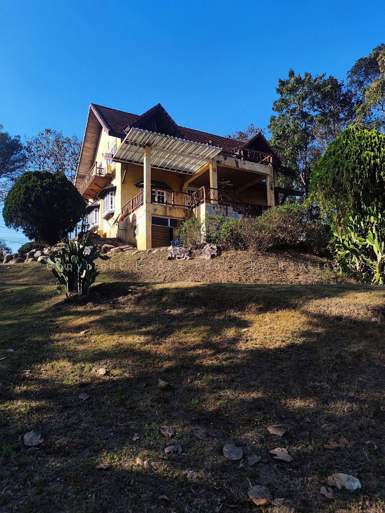 爱在拜城|梦中的原野稻香