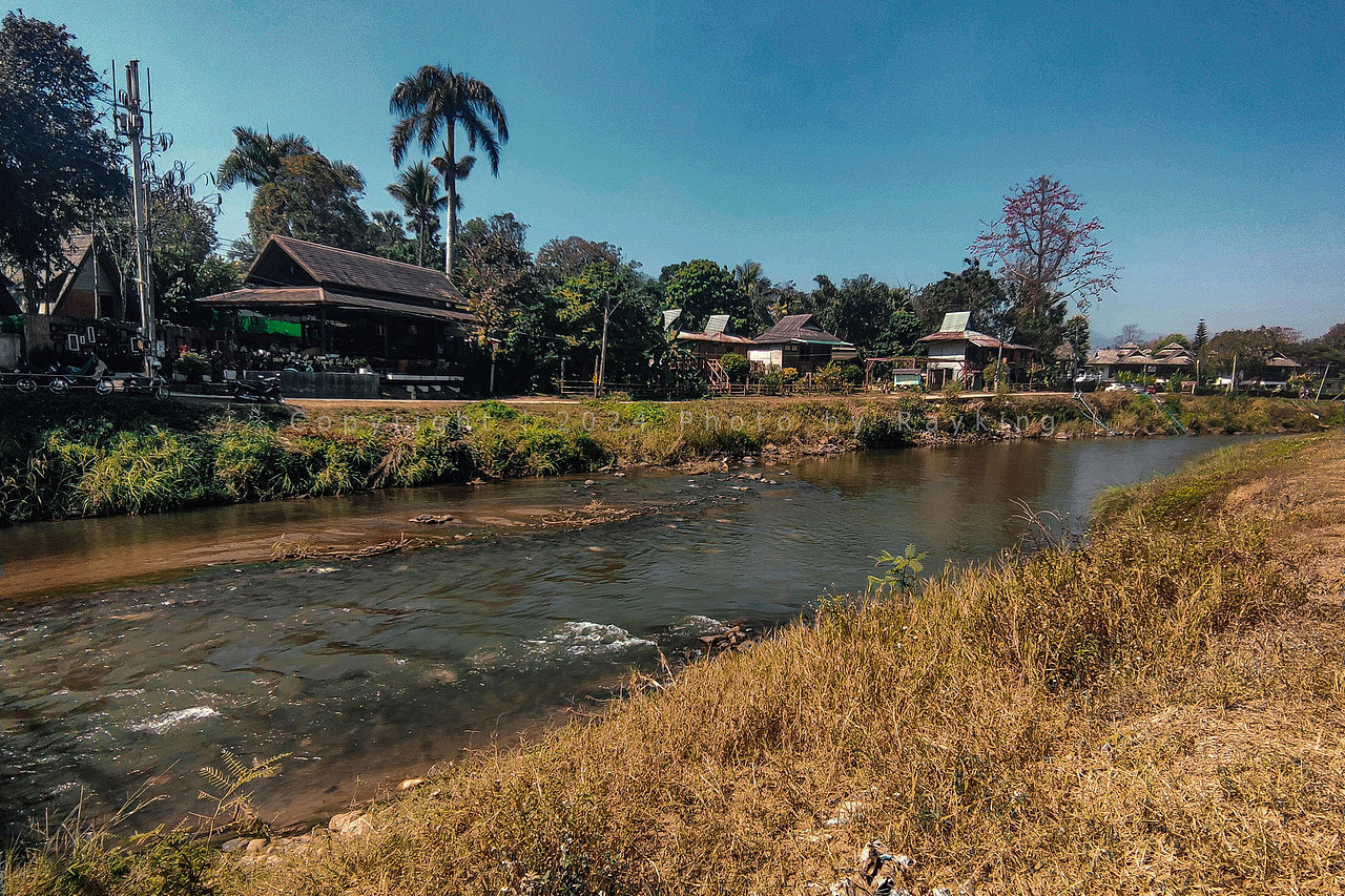 爱在拜城|梦中的原野稻香