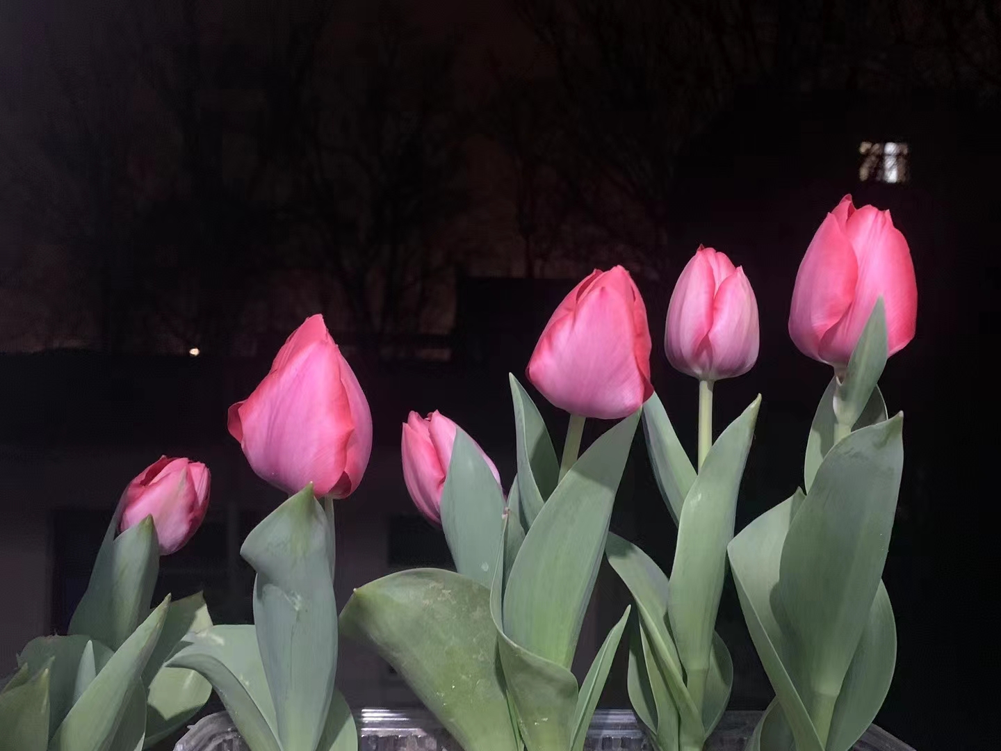 新能源傀儡的個人主頁（封面預(yù)覽） - 主頁封面設(shè)置 - 站酷設(shè)計師新能源傀儡原創(chuàng)素材 - 站酷ZCOOL