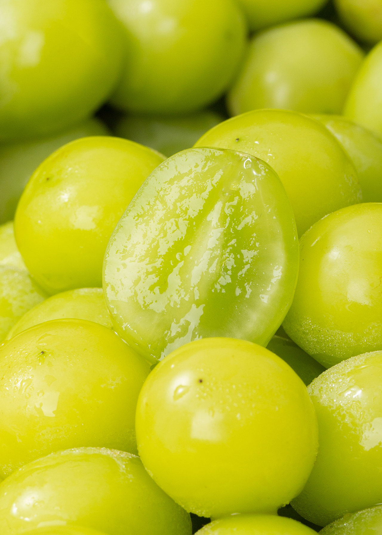 阳光玫瑰青提拍摄（图ZMzcyMjQ4MDgw） - 美食摄影 - 站酷设计师_Rambozz原创素材 - 站酷ZCOOL