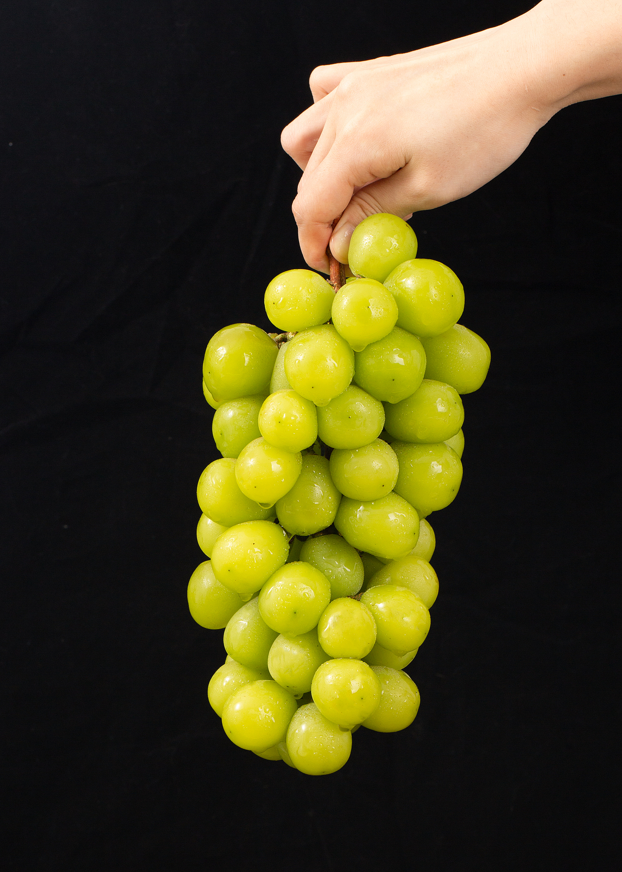 阳光玫瑰青提拍摄（图ZMzcyMjQ4MTEy） - 美食摄影 - 站酷设计师_Rambozz原创素材 - 站酷ZCOOL