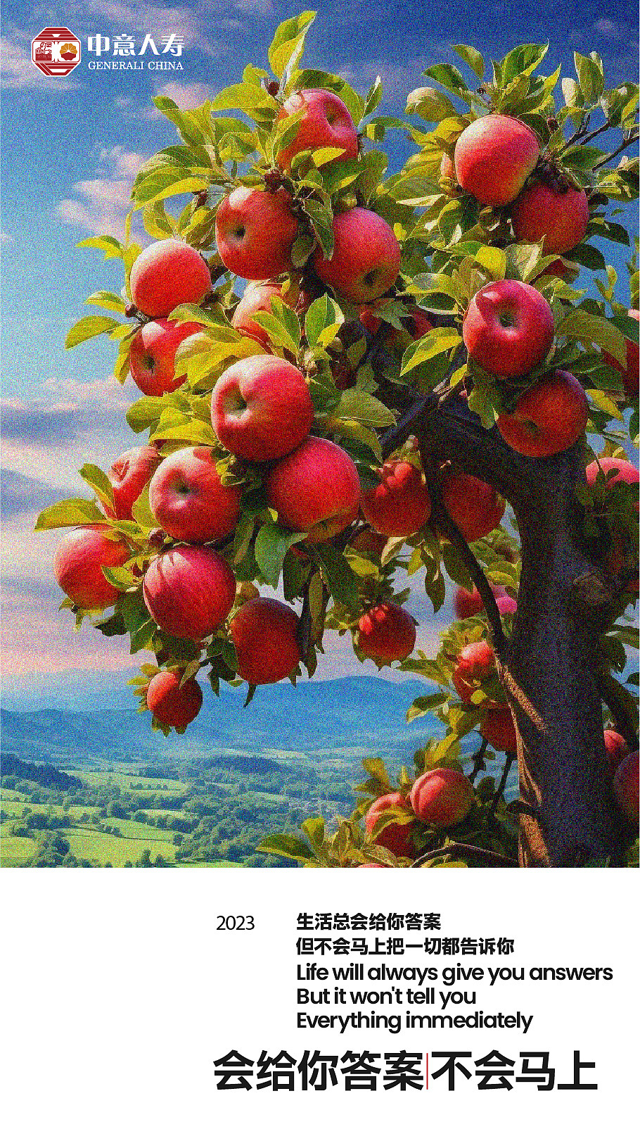 每日一图金句(图文篇&图片非满版)