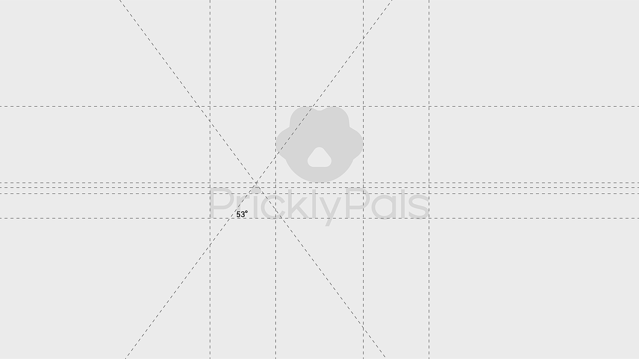 PricklyPals | 年轻化仙人掌专卖店品牌设计（图ZMzcyMjkzMzk2） - 品牌 - 站酷设计师老黑品牌设计原创素材 - 站酷ZCOOL