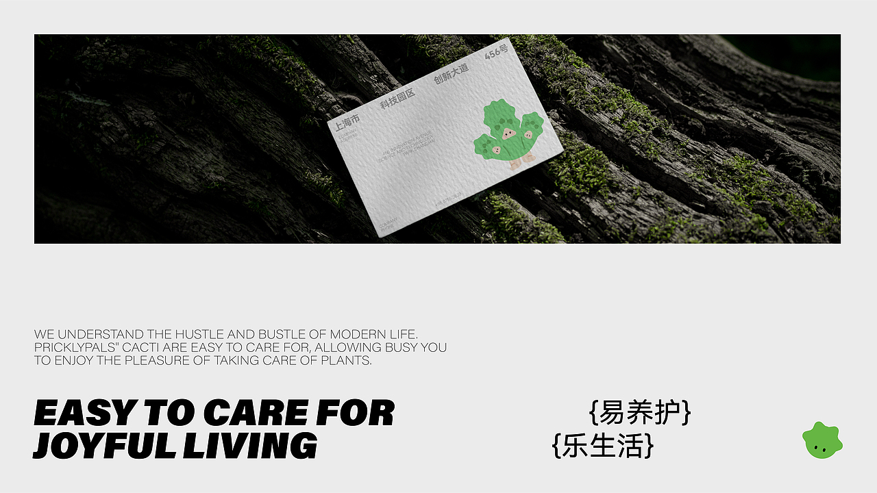 PricklyPals | 年轻化仙人掌专卖店品牌设计(图ZMzcyMjkzNDky) - 品牌 - 站酷设计师老黑品牌设计原创素材 - 站酷ZCOOL