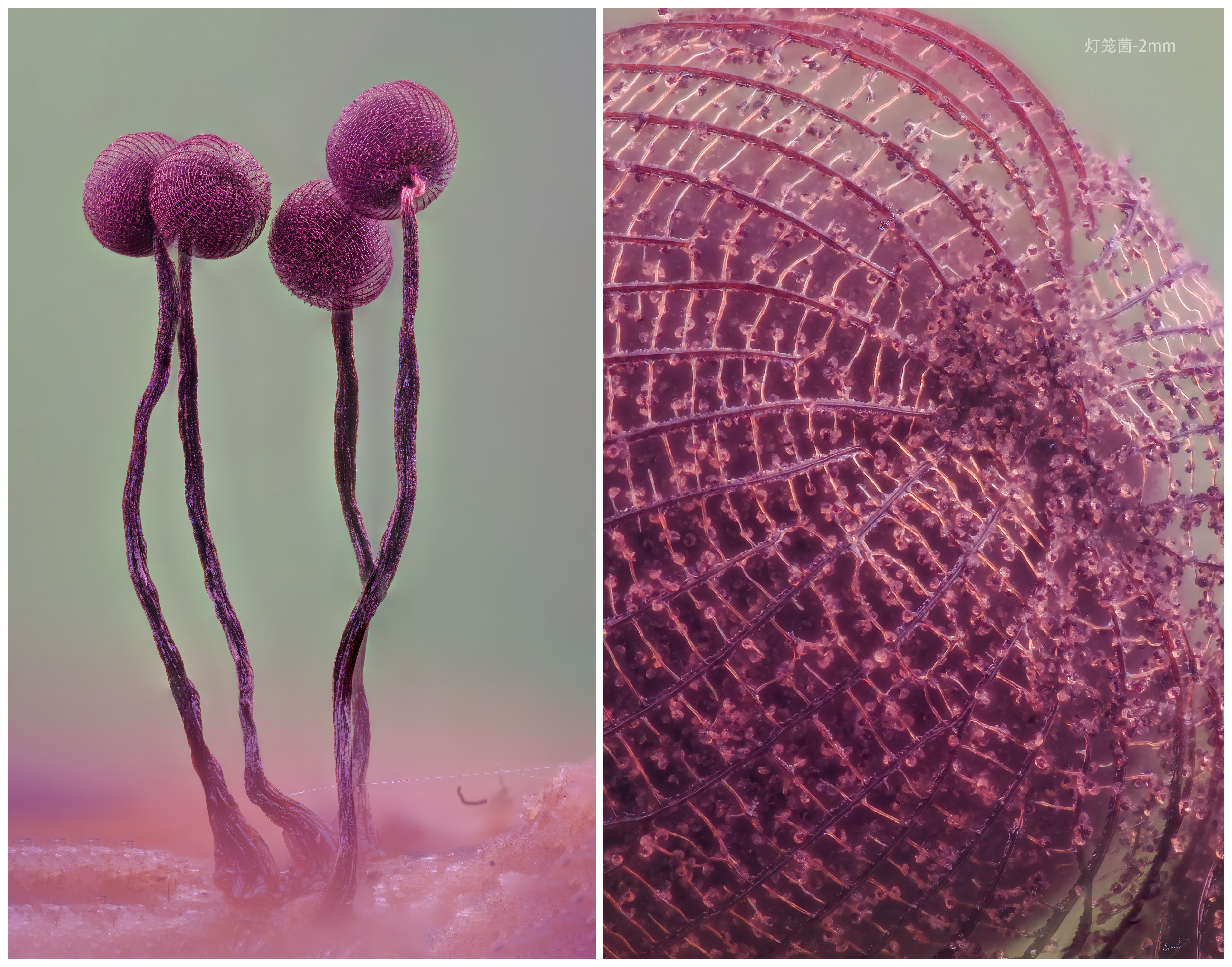 【站酷榜单·Top作品零距离】第374期（图ZMTQ4MzU4MjA=） - 观点 - 站酷设计师站酷创作中心原创素材 - 站酷ZCOOL