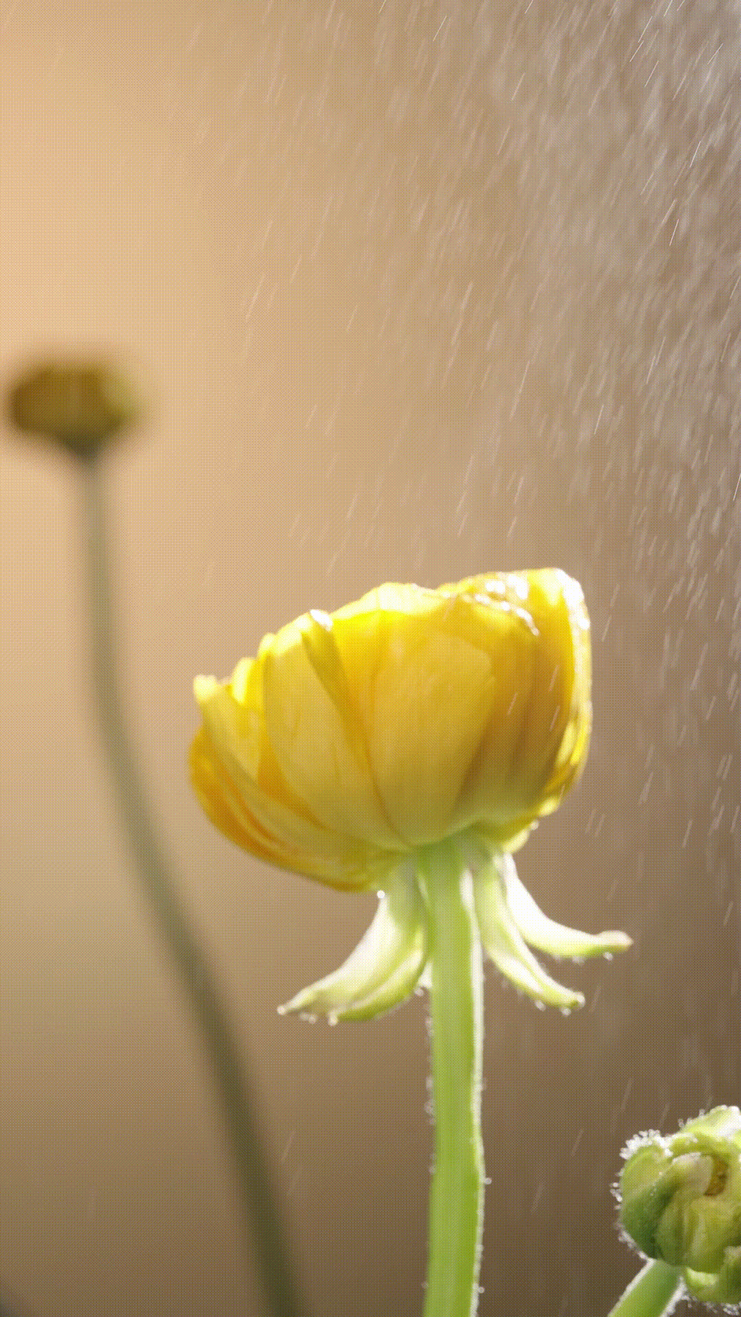 电商产品视频拍摄||护肤品美妆化妆品产品主图视频拍摄