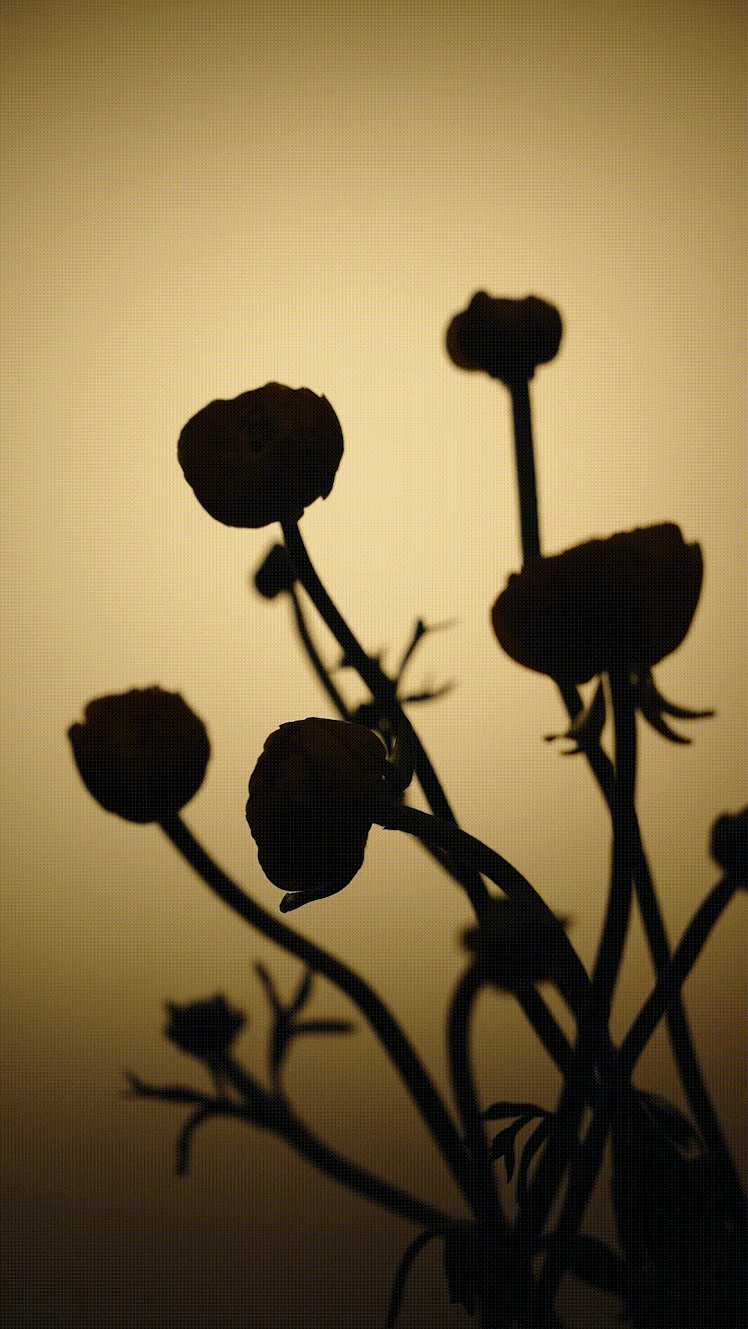 电商产品视频拍摄||护肤品美妆化妆品产品主图视频拍摄