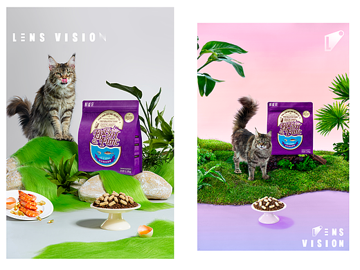 宠物食品摄影 I 鲜能说 x LensVision摄影