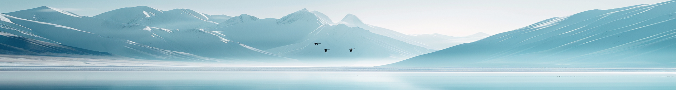 踽畔的个人主页（封面预览） - 主页封面设置 - 站酷设计师踽畔原创素材 - 站酷ZCOOL