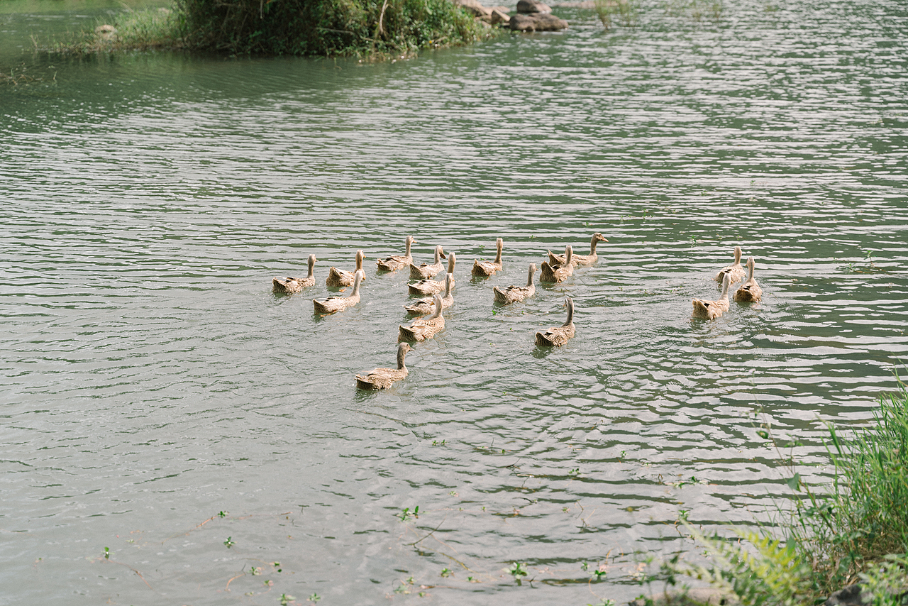 夏天河里戏水的人们（图ZMzcyMzM2OTky） - 人文/纪实摄影 - 站酷设计师摄影师李宏原创素材 - 站酷ZCOOL