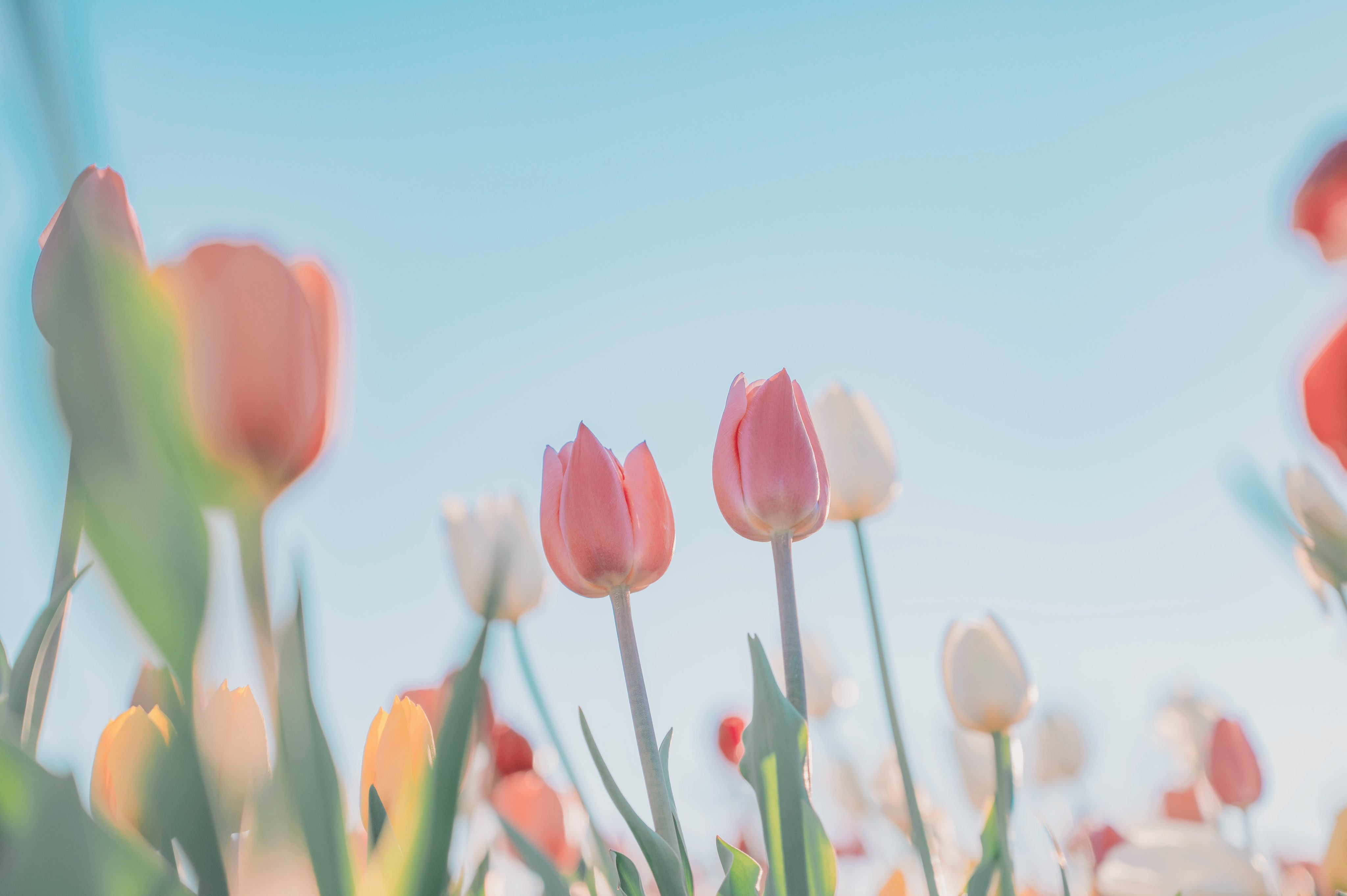 達(dá)不劉_的個(gè)人主頁(yè)（封面預(yù)覽） - 主頁(yè)封面設(shè)置 - 站酷設(shè)計(jì)師達(dá)不劉_原創(chuàng)素材 - 站酷ZCOOL