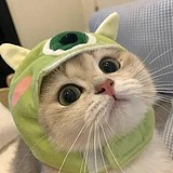 Sunx孙的头像