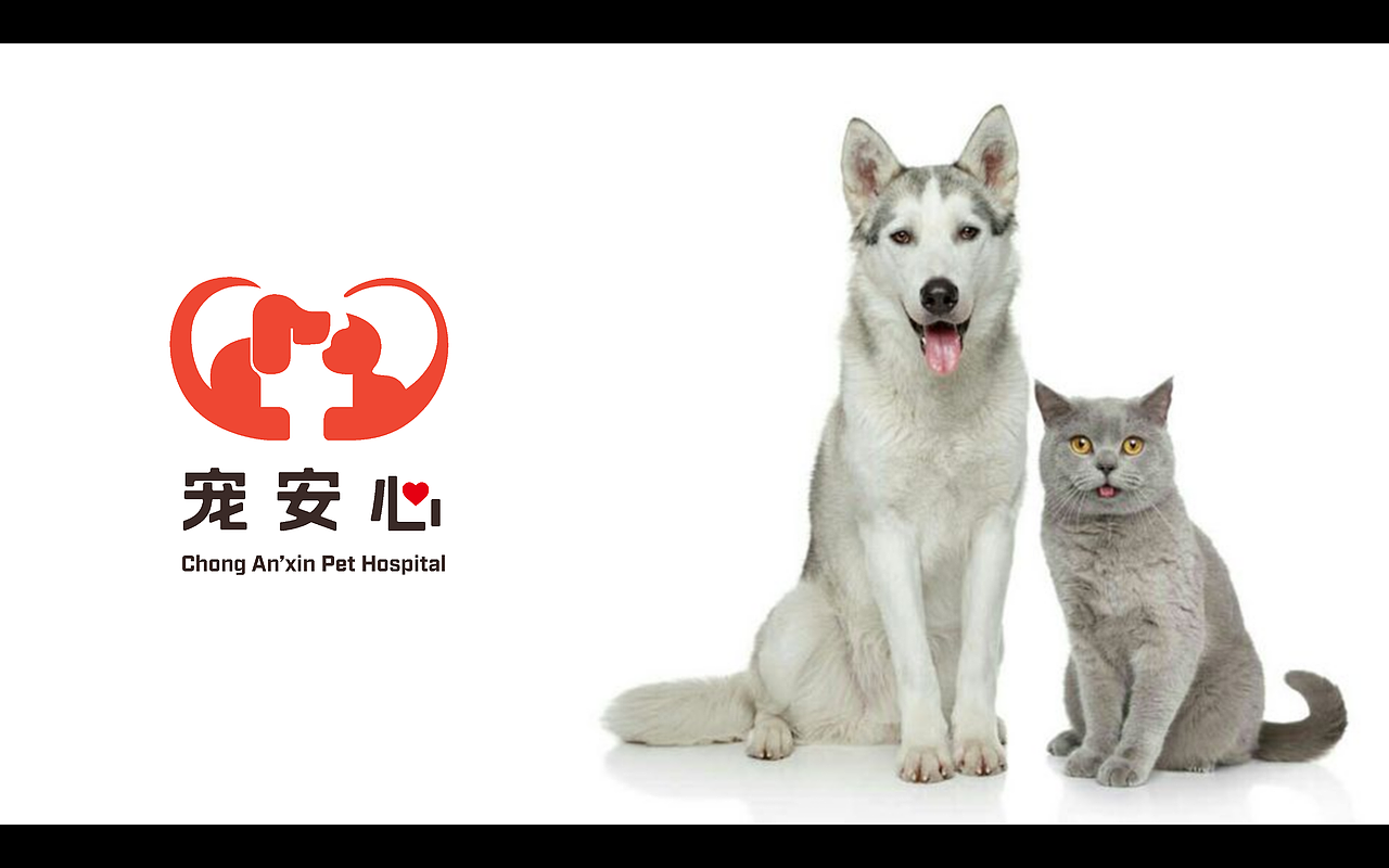 宠安心·宠物医院logo设计