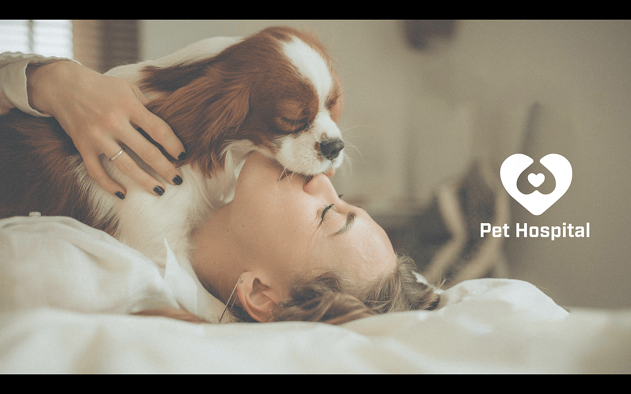 宠安心·宠物医院logo设计