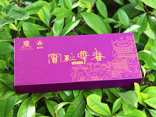 给香港中文大学（深圳）设计了书签和徽章💛