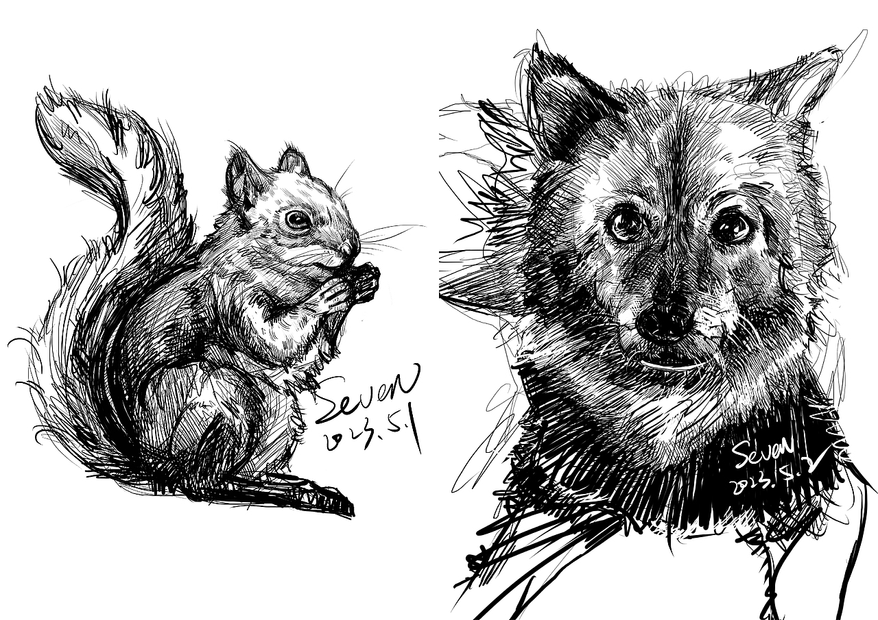 动物系列插画集（图ZMzcyMzk4Mzg4） - 创作习作 - 站酷设计师SevenVegh原创素材 - 站酷ZCOOL