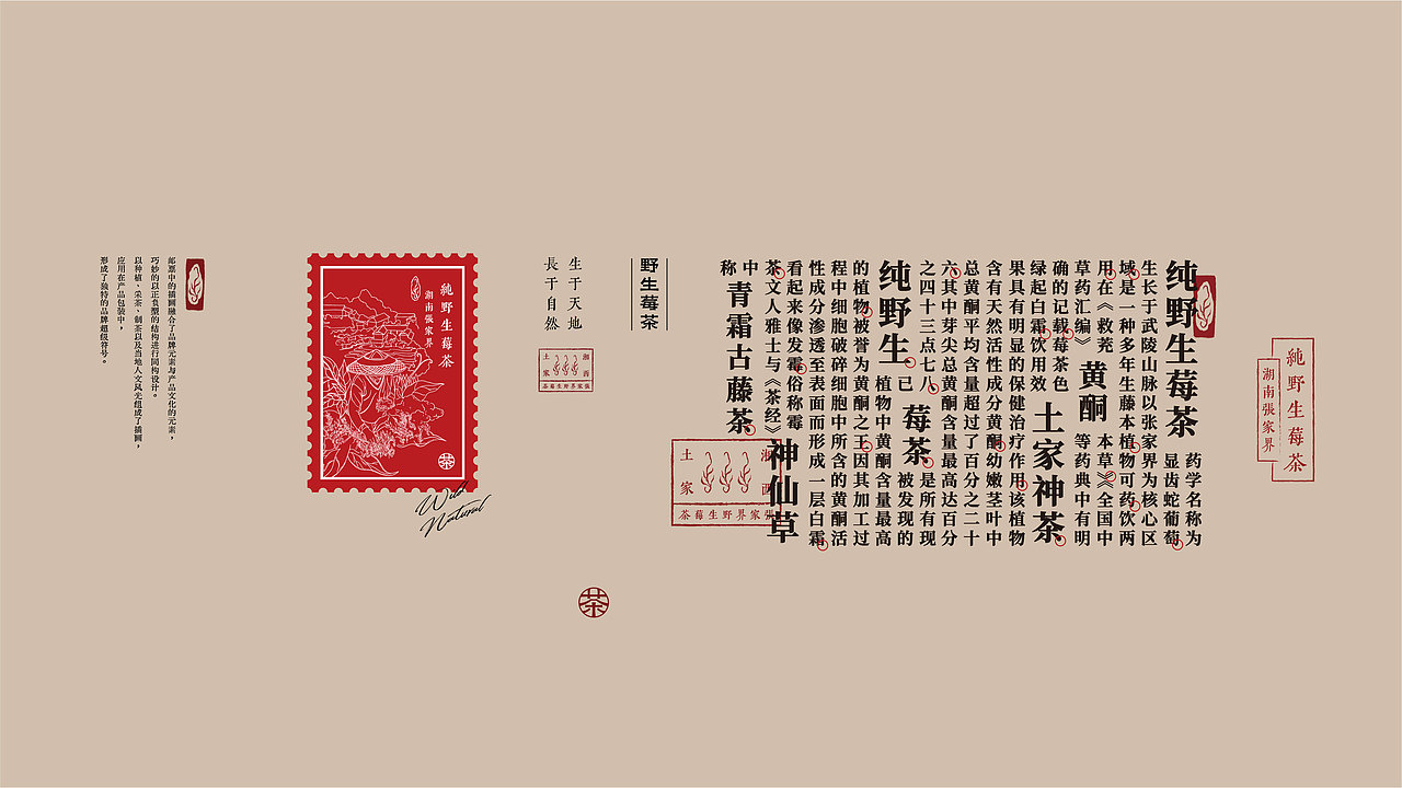 2023-2024设计项目上篇