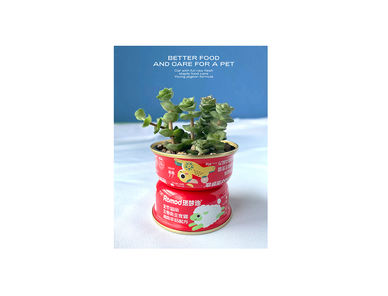 猫猫吃完罐罐不要扔,种上一小盆多肉,
您可以把它放在办公桌上,也可以放在窗户前,<br>我喜欢放在台灯下,温暖精密,陪伴又治愈;<br>喜气洋洋,还招财进宝。<br>Don't throw away the cans after the cat finishes eating, plant a small pot of succulent,<br>You can place it on your desk or in front of the window,<br>I like to place it under a desk lamp, warm and precise, accompanying and healing;<br>Joyful and inviting wealth and treasures.