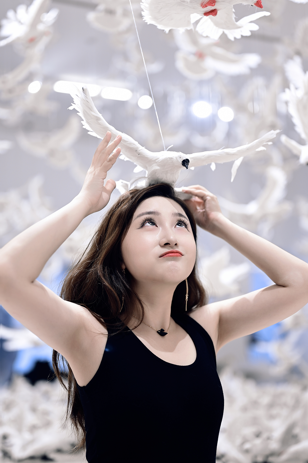 没有天空的和平鸽