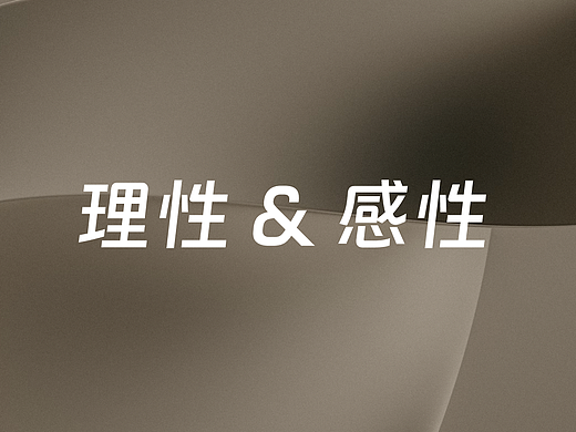 设计的两面性:理性决策与感性表达