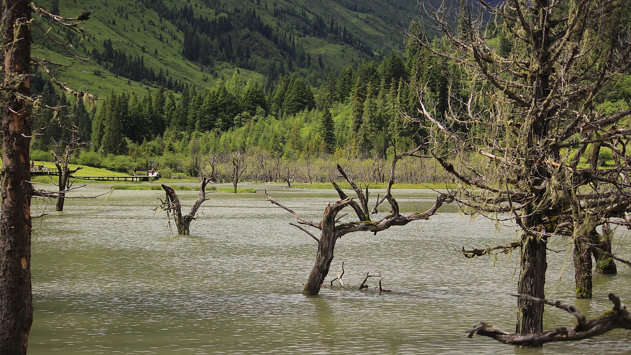 四姑娘山枯木滩（图ZMzcyNDE3MDU2） - 风光摄影 - 站酷设计师杪鹤原创素材 - 站酷ZCOOL