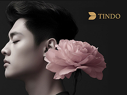 聽朵酒店品牌定位與設(shè)計