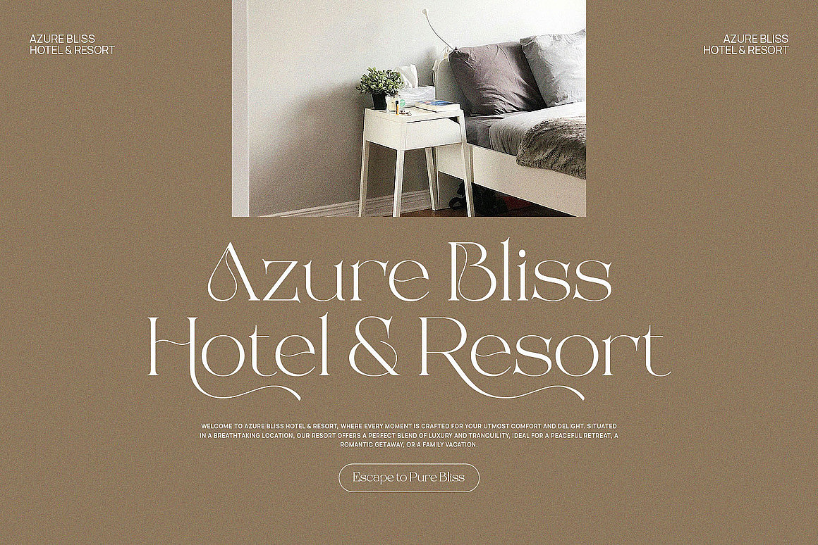 现代优雅时尚花体画册婚礼请柬封面标题衬线英文字体