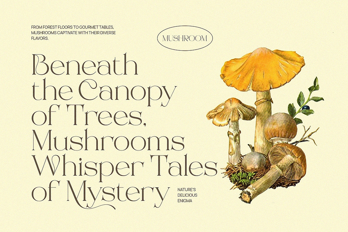 现代优雅时尚花体画册婚礼请柬封面标题衬线英文字体