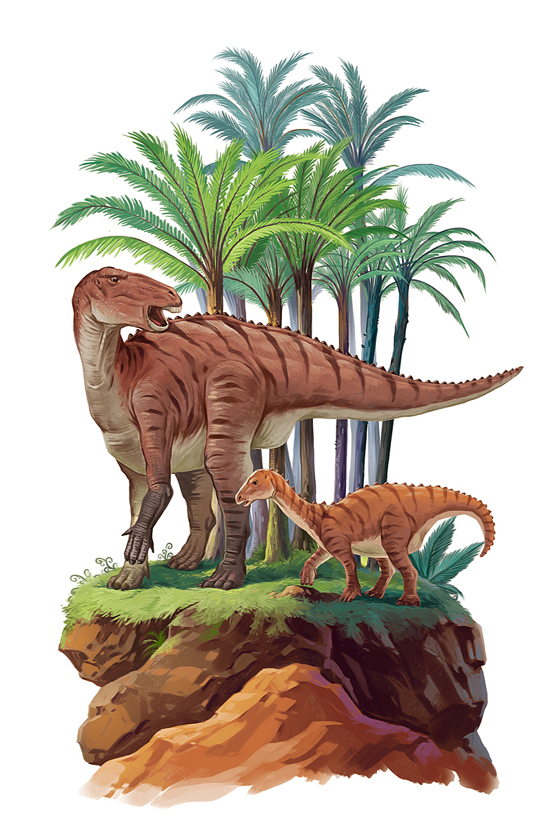 商业插图（图ZMzcyNDc4OTY0） - 绘本 - 站酷设计师狮子行者原创素材 - 站酷ZCOOL