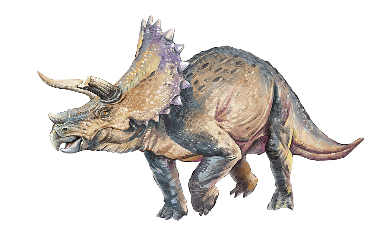 商业插图（图ZMzcyNDc4OTgw） - 绘本 - 站酷设计师狮子行者原创素材 - 站酷ZCOOL