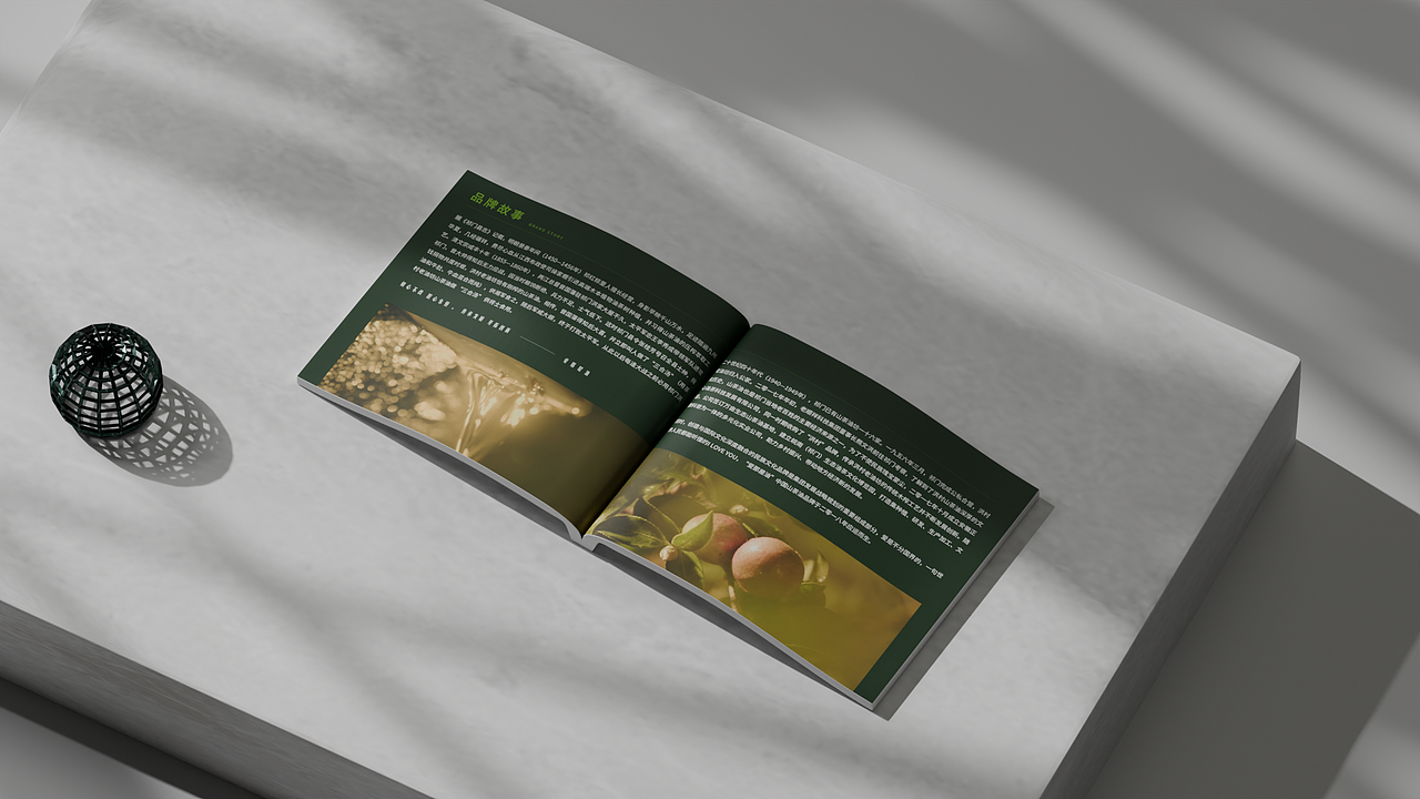 Partial Album Collection（图ZMzcyNDk4NTQw） - 书籍/画册 - 站酷设计师Anna_CH原创素材 - 站酷ZCOOL