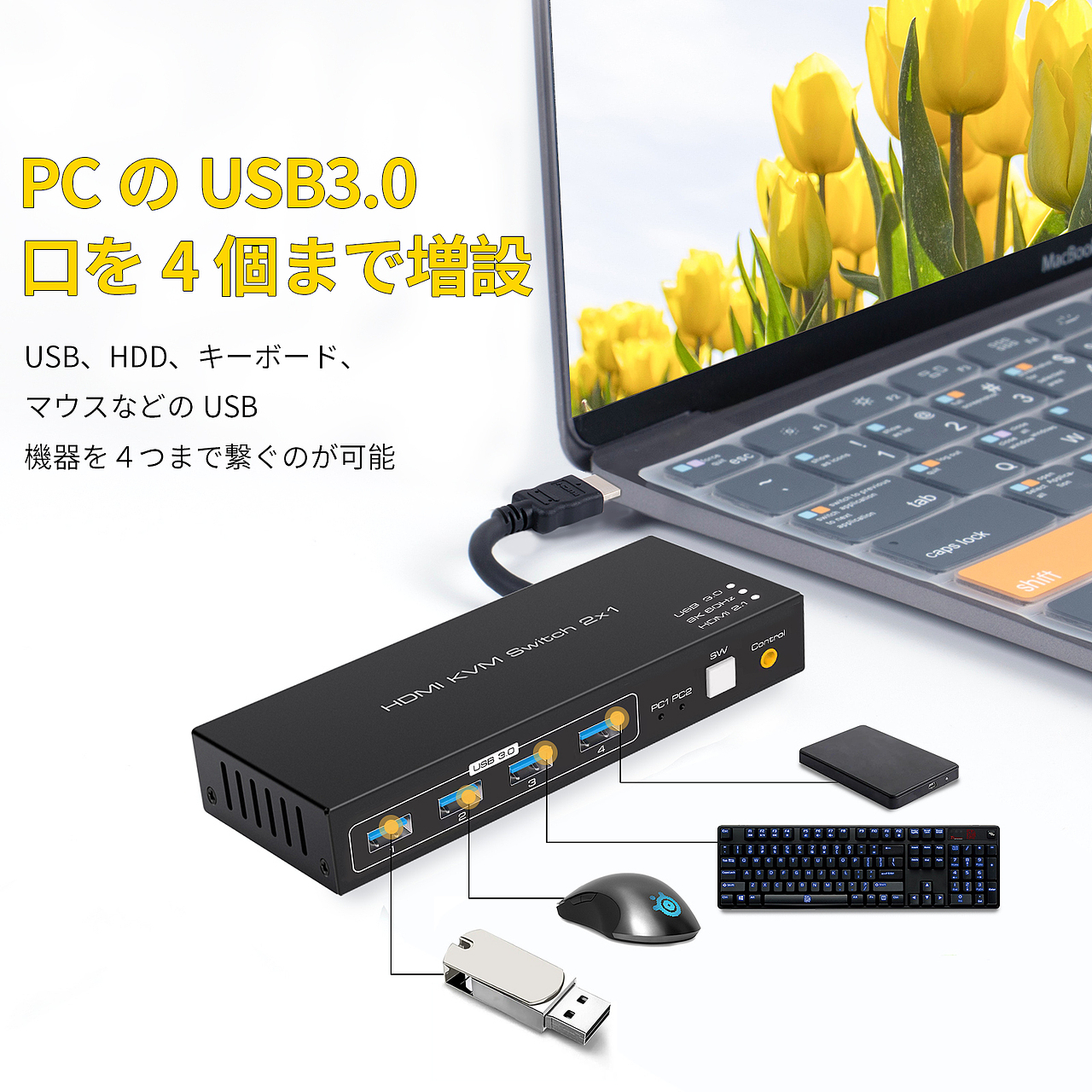 SW206N