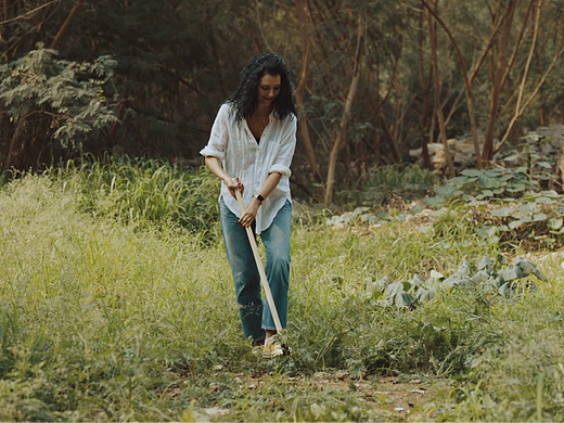 园艺工具：锄草器（视频）