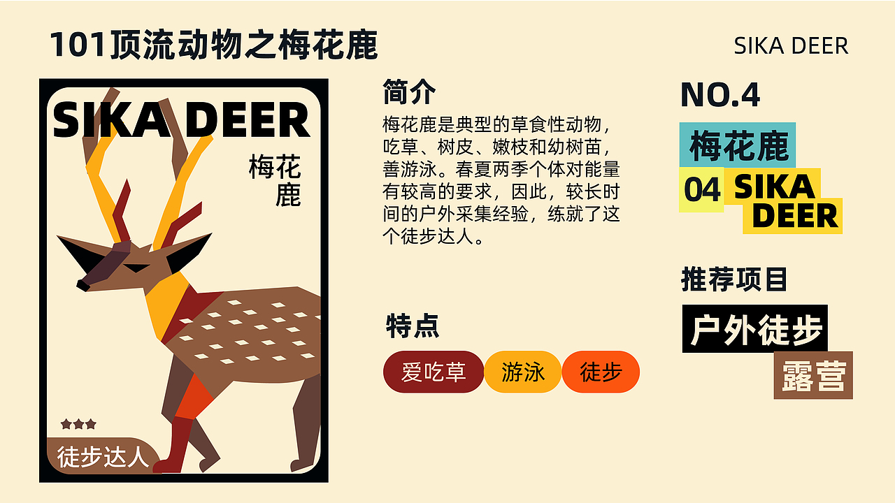 扁平插画 | 长白山顶流动物101造星计划 华美胜地行