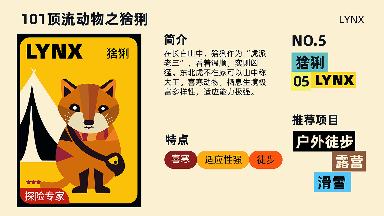 扁平插画 | 长白山顶流动物101造星计划 华美胜地行