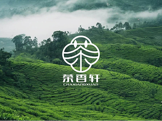 品牌设计//茶香轩品牌设计