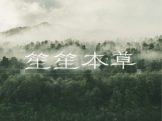 笙笙本草·国风头疗养生品牌设计