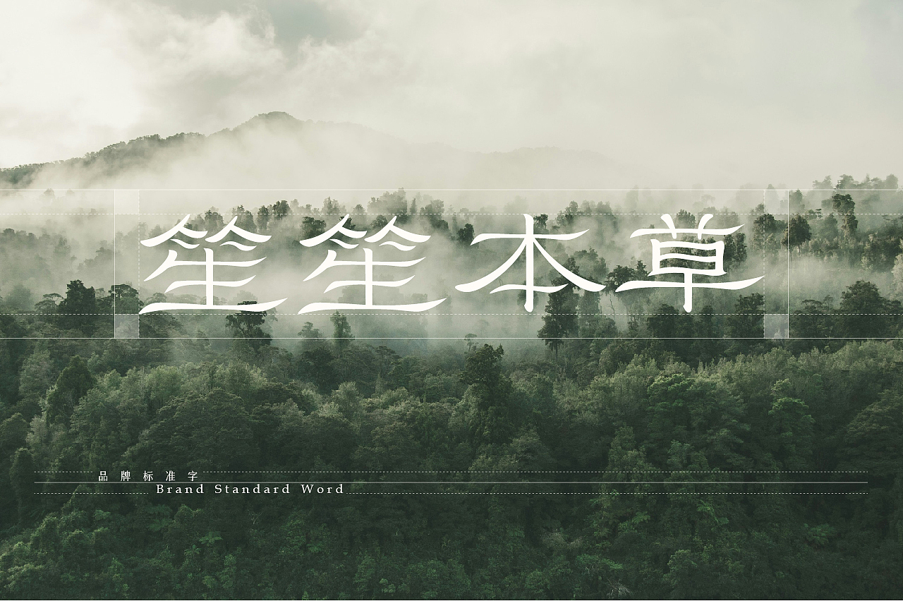 笙笙本草·国风头疗养生品牌设计