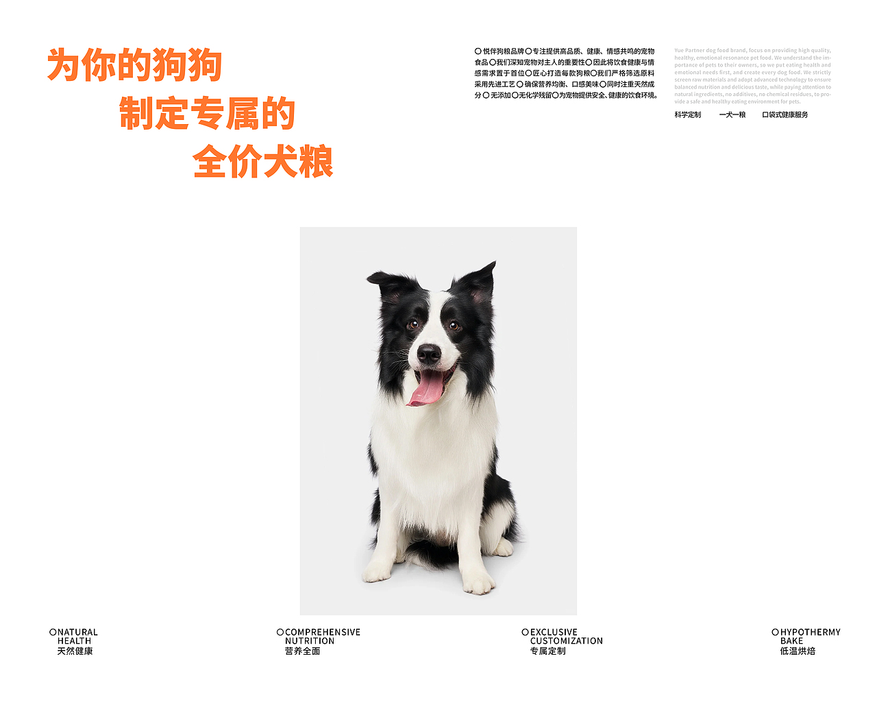 《悦伴》狗粮品牌设计(图ZMzcyNTkwNDc2) - 品牌 - 站酷设计师设计师十七原创素材 - 站酷ZCOOL