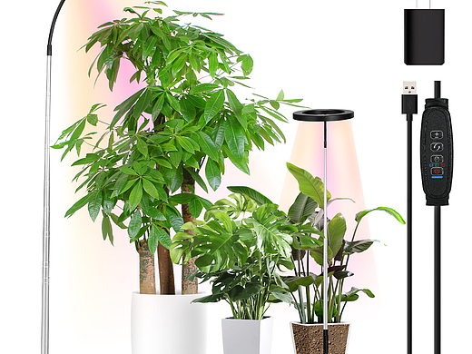 亚马逊设计《植物灯》-by青色