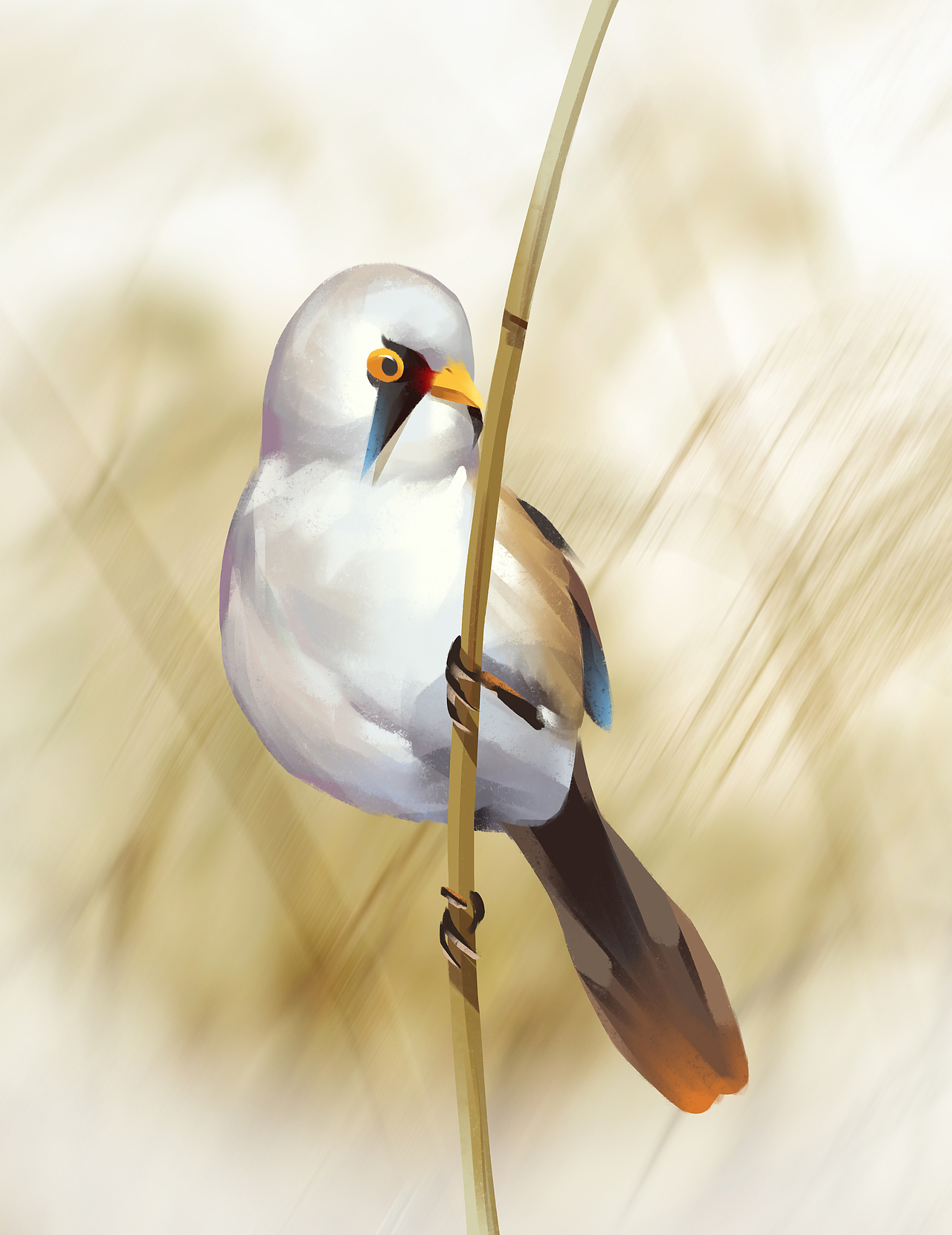 山雀（图ZMzcyNTkzNTQ0） - 创作习作 - 站酷设计师白茫茫的毛藤帘子原创素材 - 站酷ZCOOL