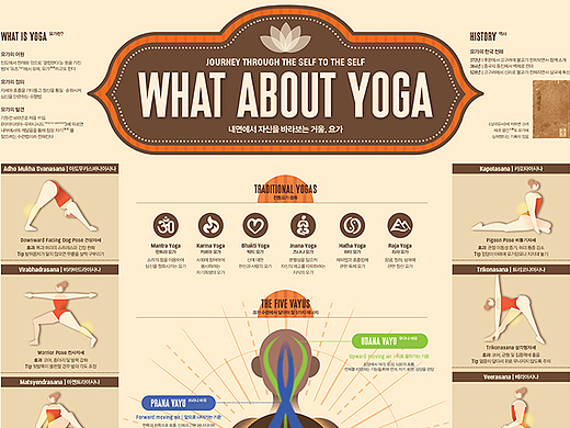 202402_瑜伽_Yoga【信息图表】