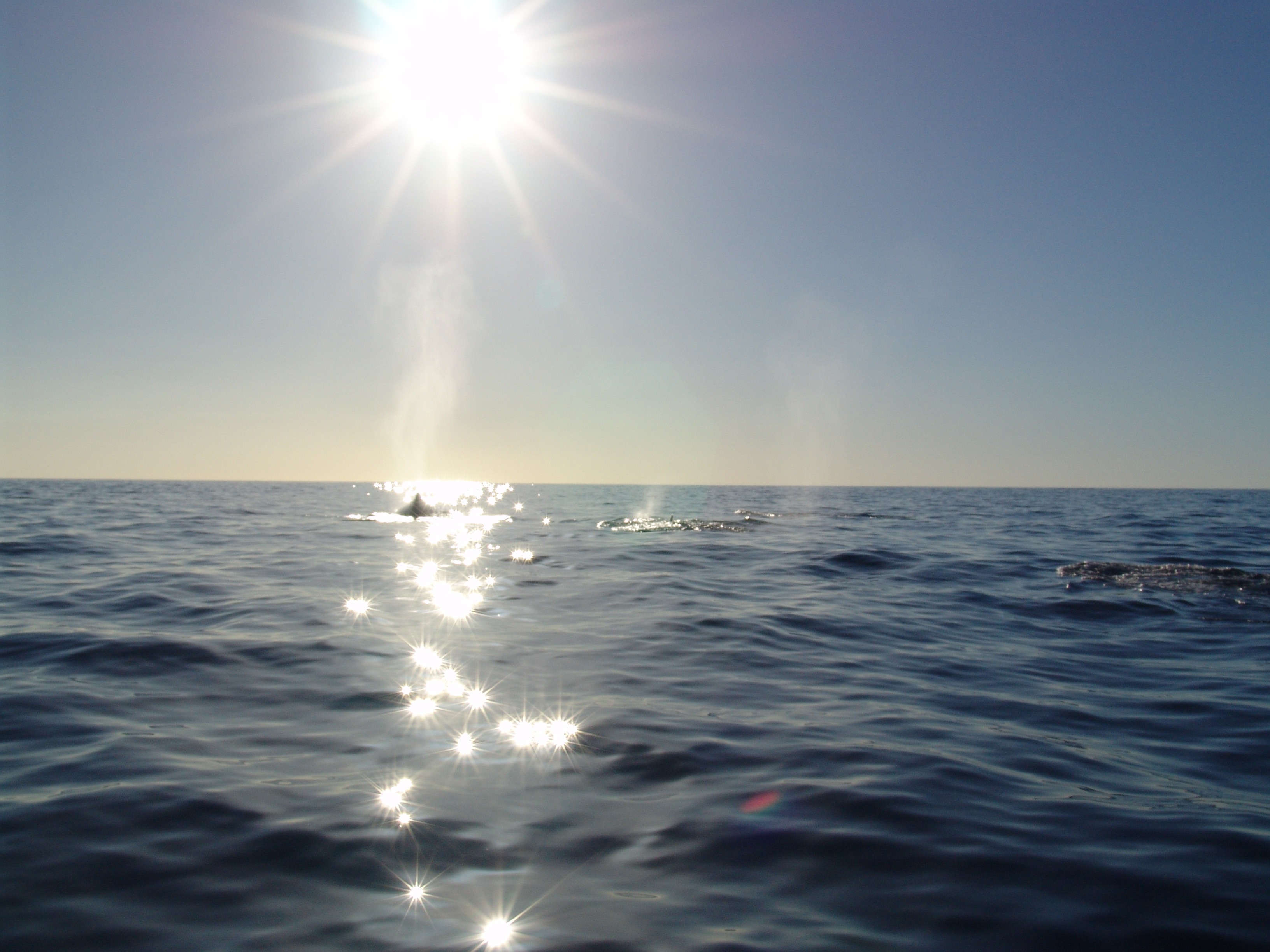 2024那些年的个人主页（封面预览） - 主页封面设置 - 站酷设计师2024那些年原创素材 - 站酷ZCOOL