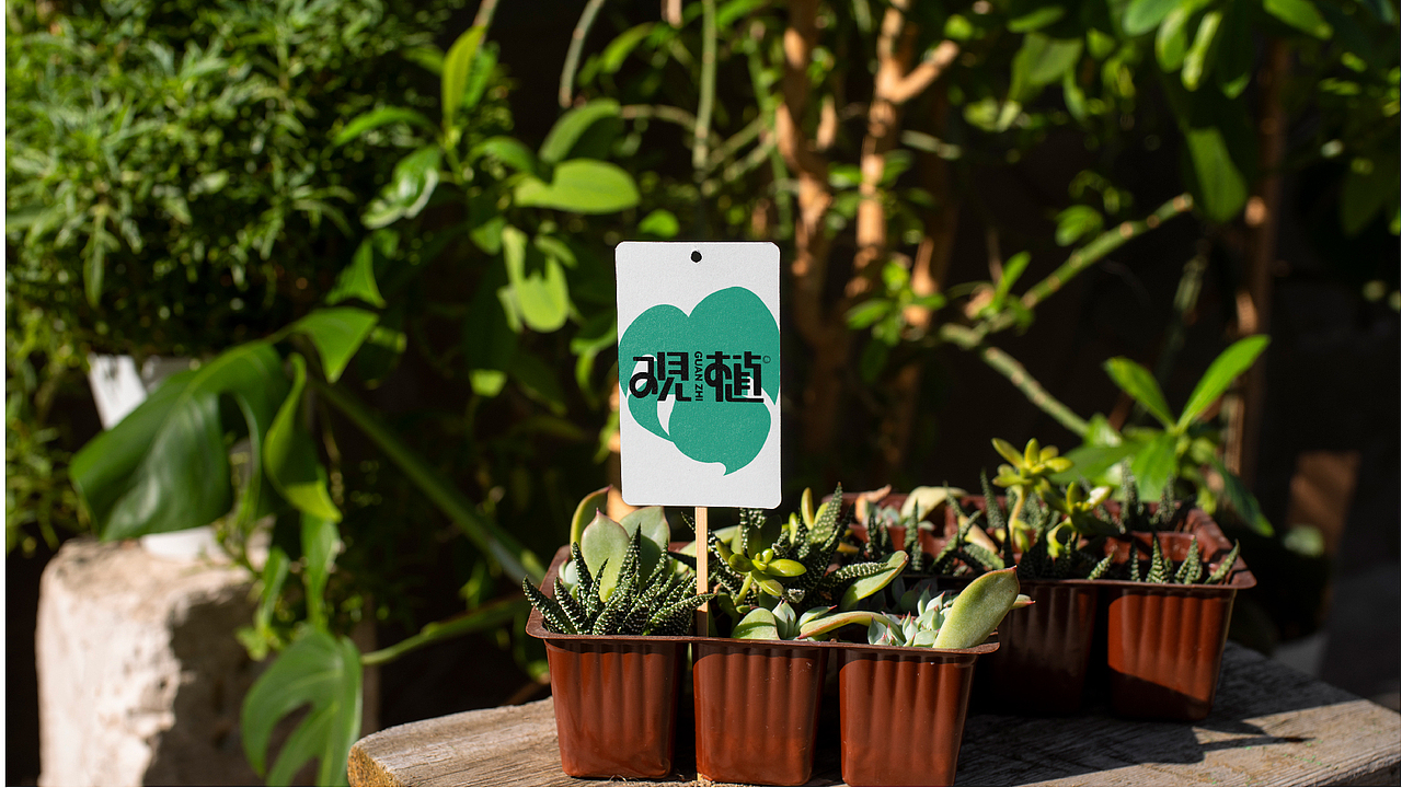“观植”植物商店提案＋物料设计（图ZMzcyNjIwODA4） - 品牌 - 站酷设计师林夕tt原创素材 - 站酷ZCOOL