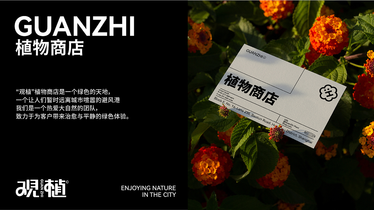 “观植”植物商店提案＋物料设计（图ZMzcyNjIwNzg0） - 品牌 - 站酷设计师林夕tt原创素材 - 站酷ZCOOL