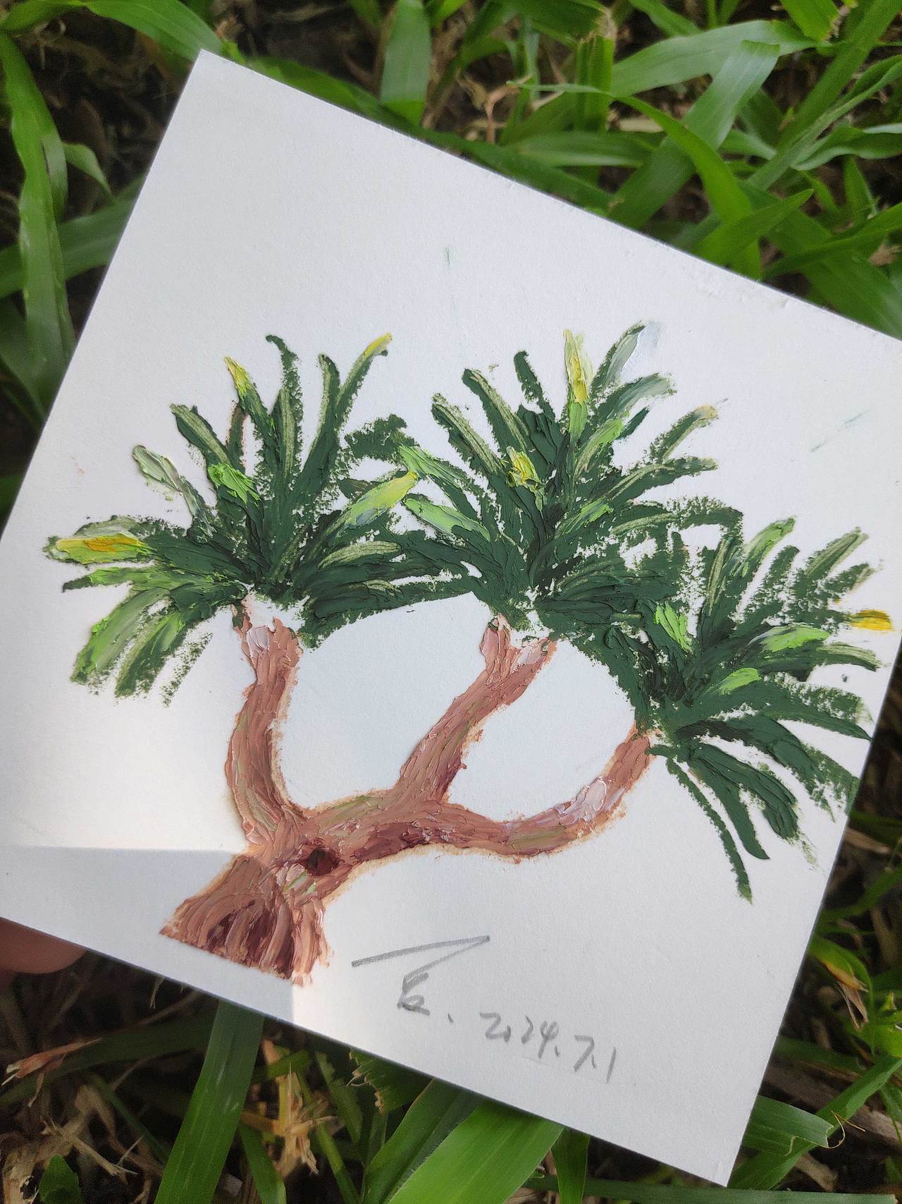 油画棒植物写生