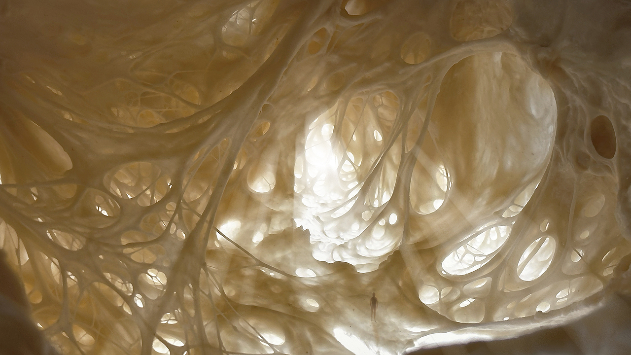 鬼才建筑师（图ZMzcyNjQxMTg0） - 美食摄影 - 站酷设计师YUM汤汤原创素材 - 站酷ZCOOL